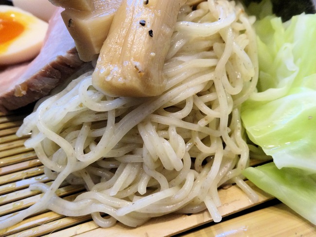 53nibo00559