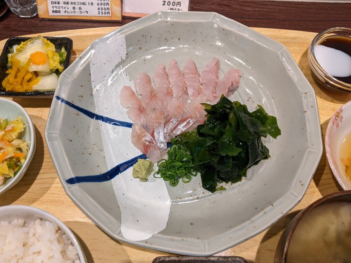 62sakanaya033604645