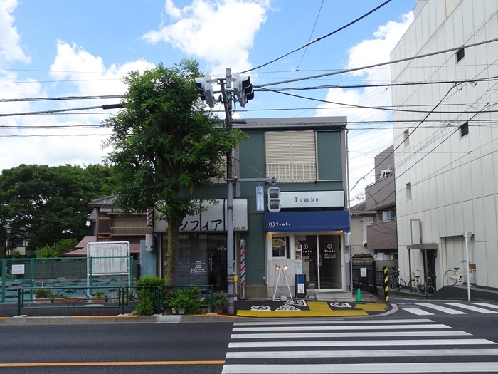 51tombo03544