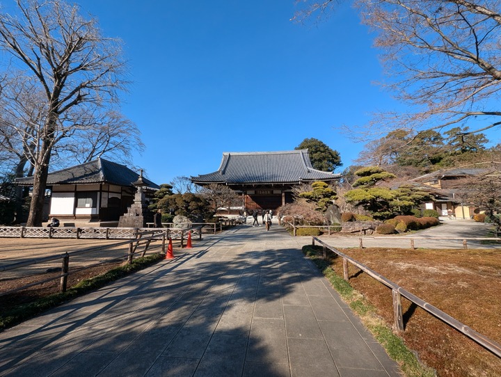 17kajitsuya045516764
