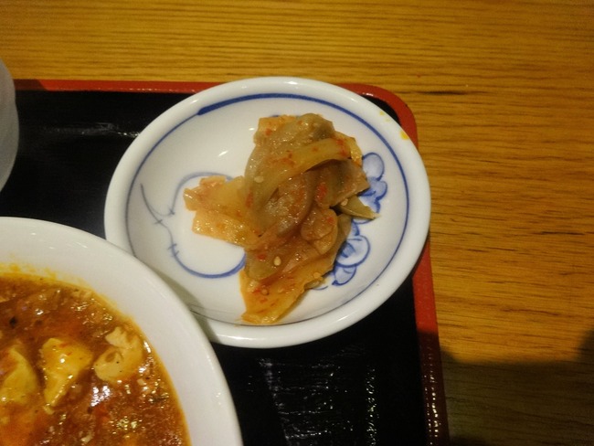 08aopin04743
