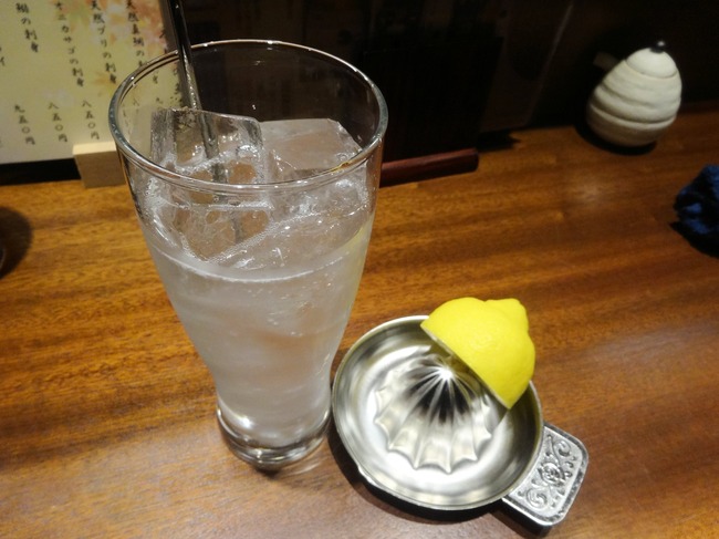 54izayoi05226