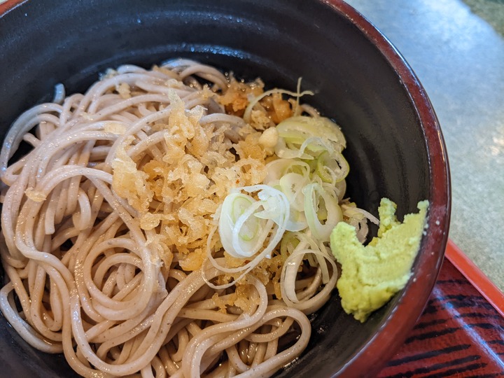 62nagaokaya041809041