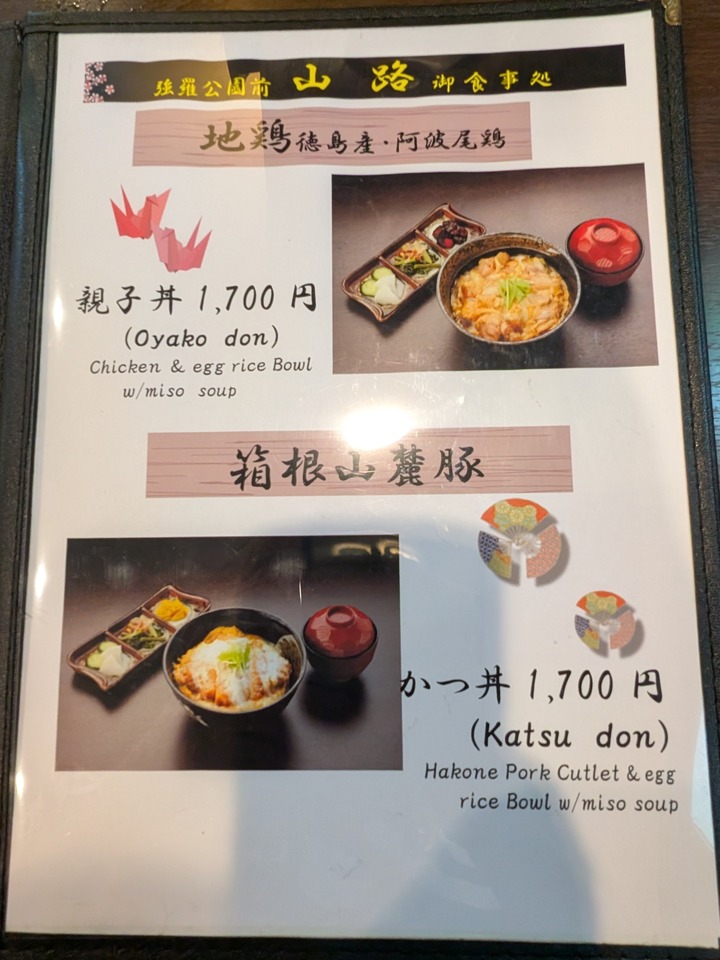06yamaji031529113
