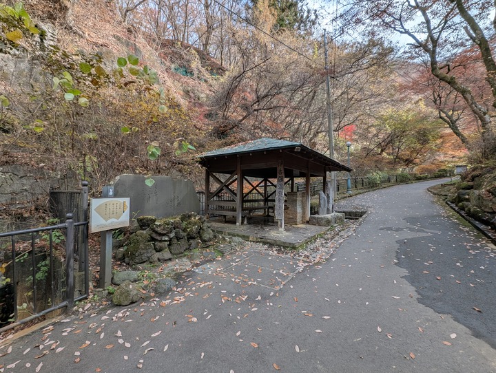 65ikaho014452003