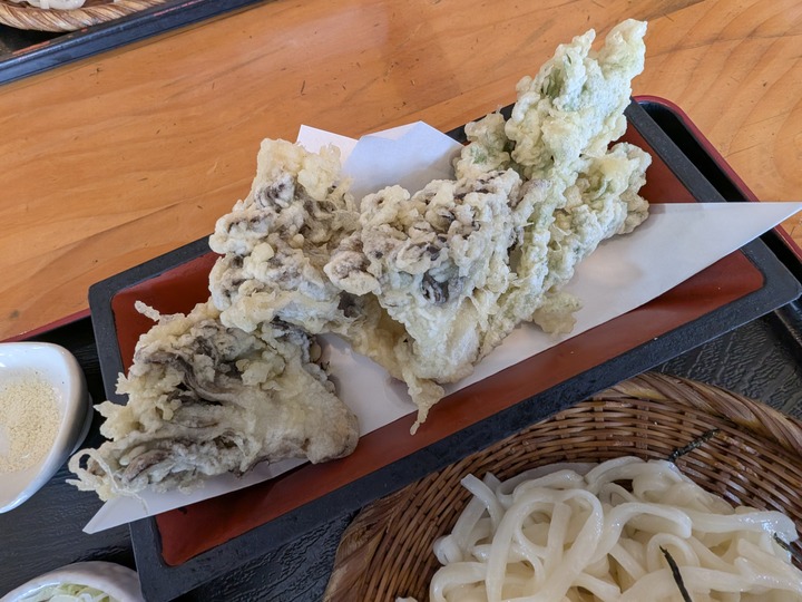 65hiranoya044533466