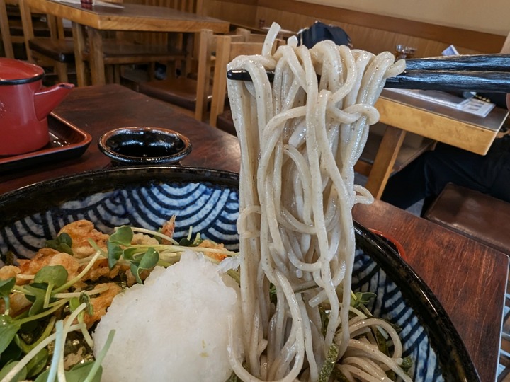 11nagaokaya042717702