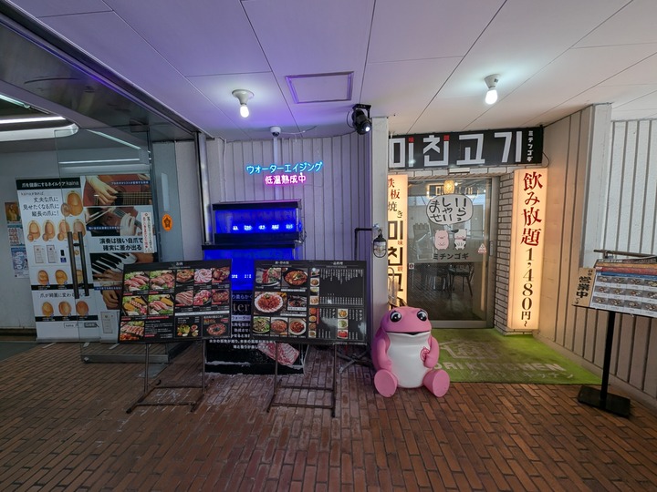 02gogi042108617