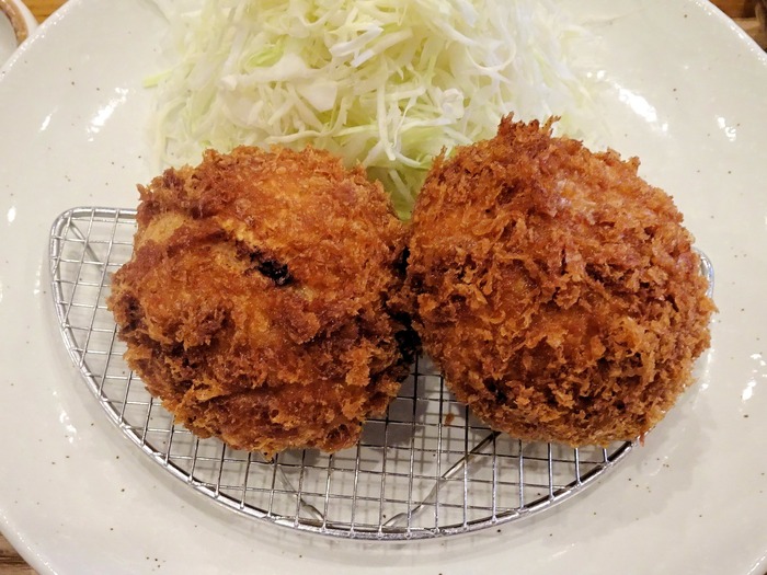 45tonnori09276
