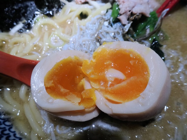 57tonibo01126