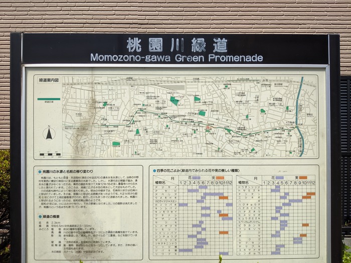 02momoga040739960