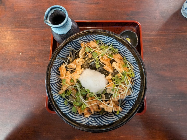 61nagaokaya041635651