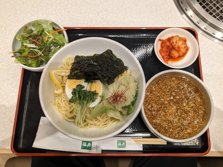 08fukujyu045947182