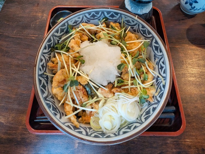 10nagaokaya041549402
