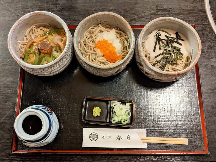 06kasuga033107259