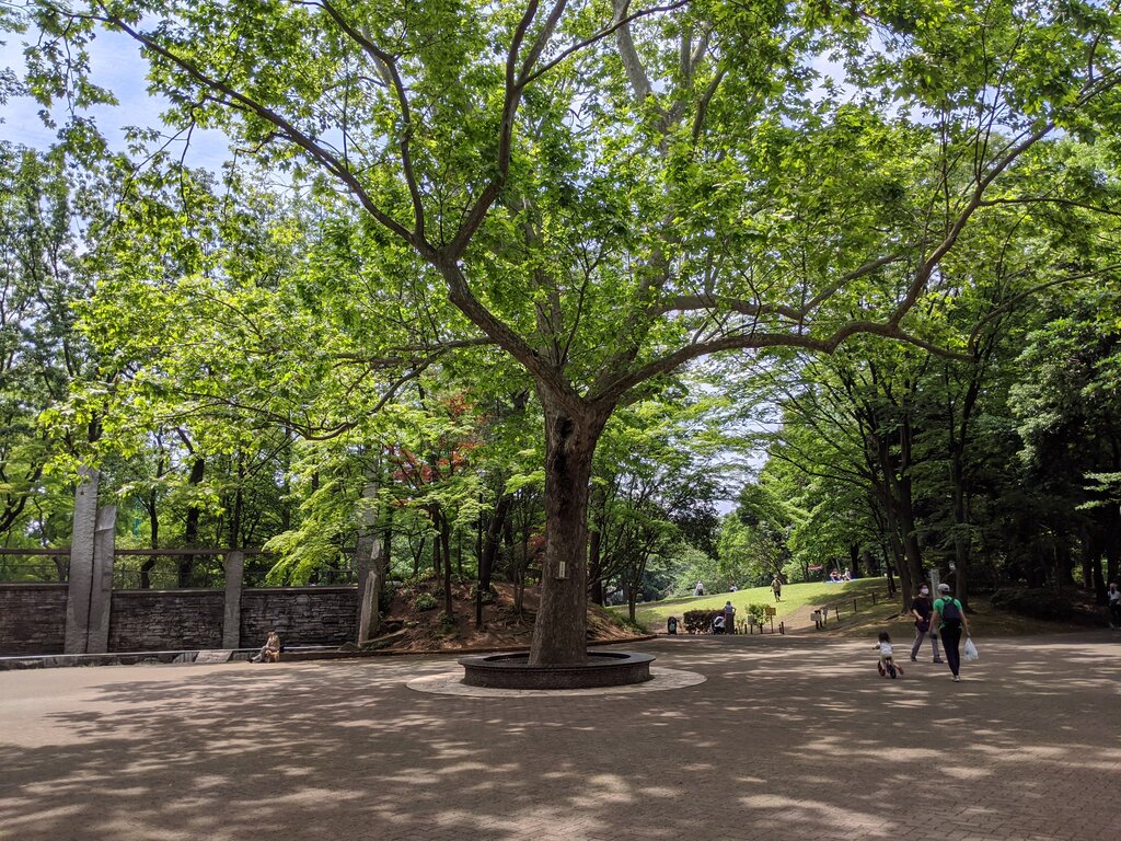 蚕糸の森公園 東高円寺 東京ブウブウking