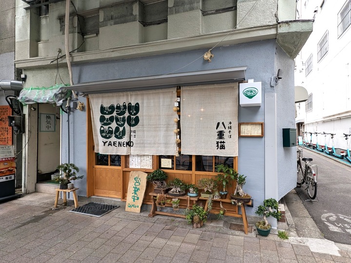02yaeneko042317249