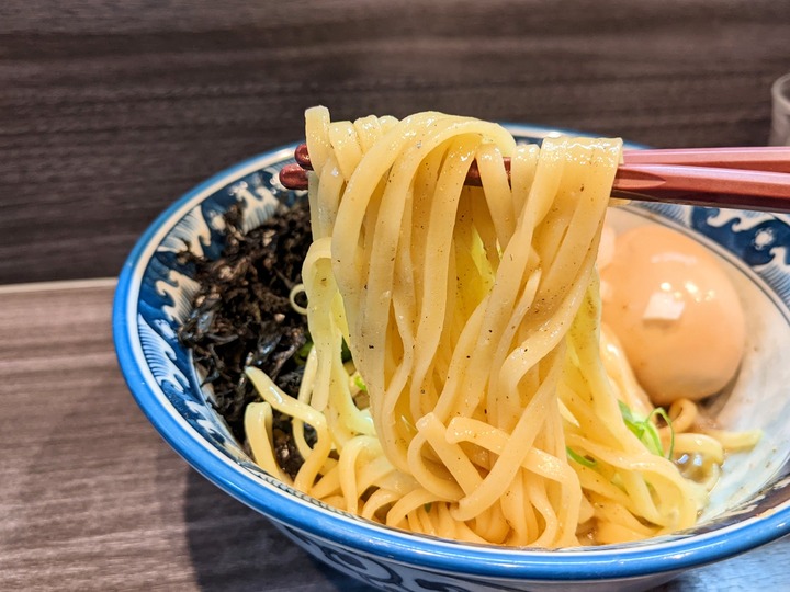 11tanaka042509322
