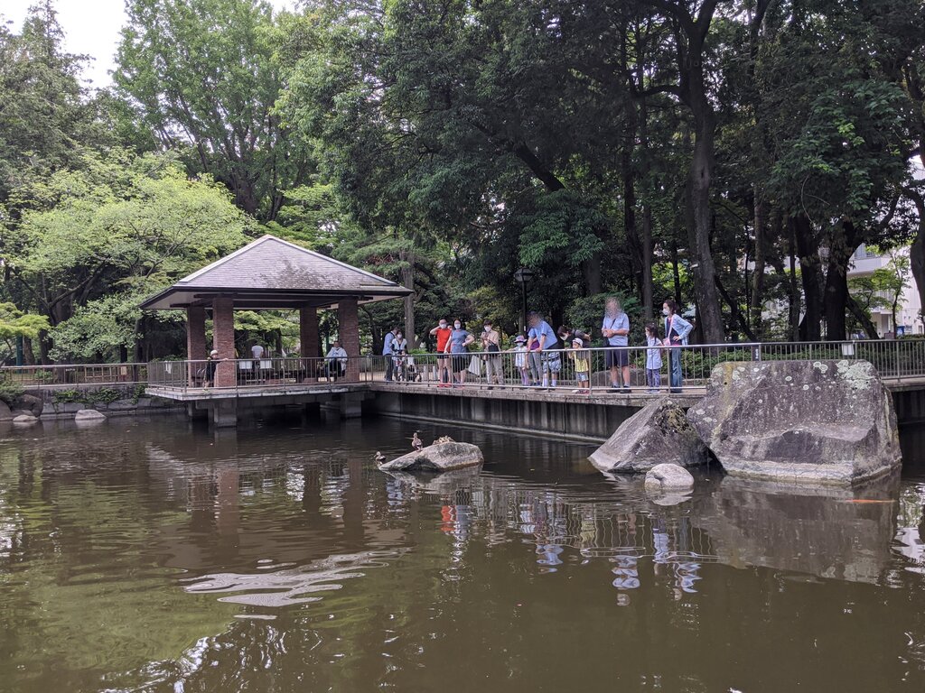 蚕糸の森公園 東高円寺 ２ 東京ブウブウking