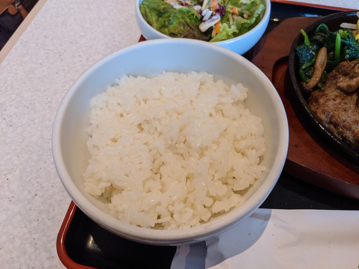58fukujyu035305210