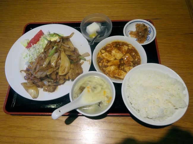 04aopin04732