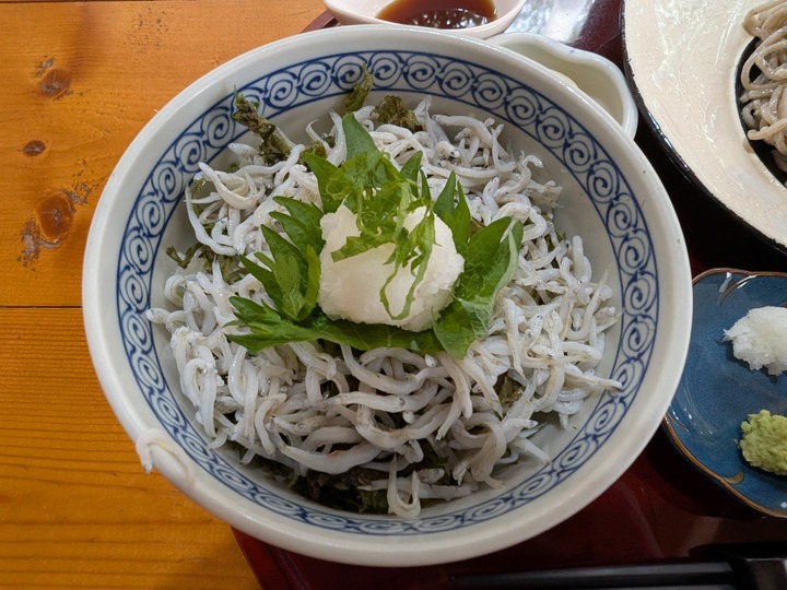 61ashitaba034958573