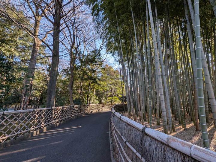 18kajitsuya045728197