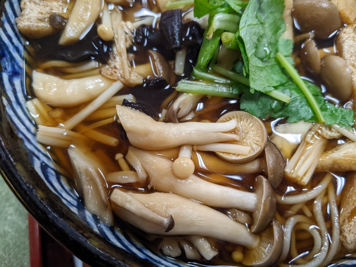 13nagaokaya040638170