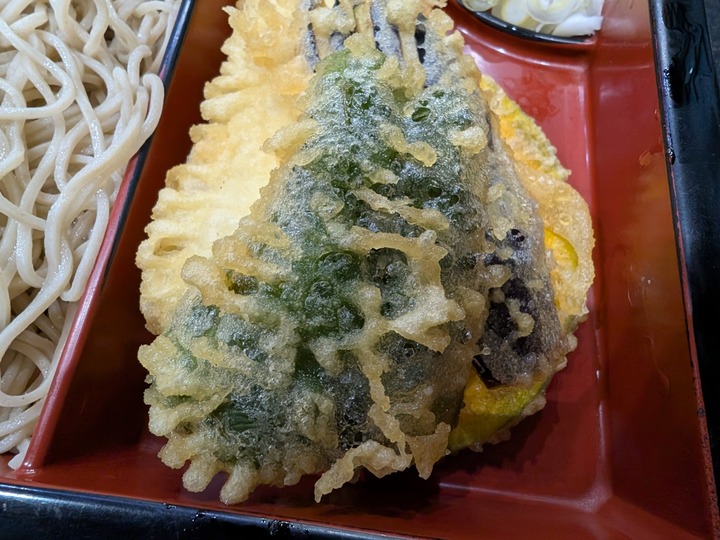 08tatsumi043029411