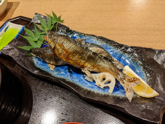 14mikawaya042505502