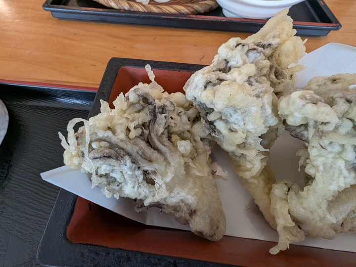 67hiranoya044802581