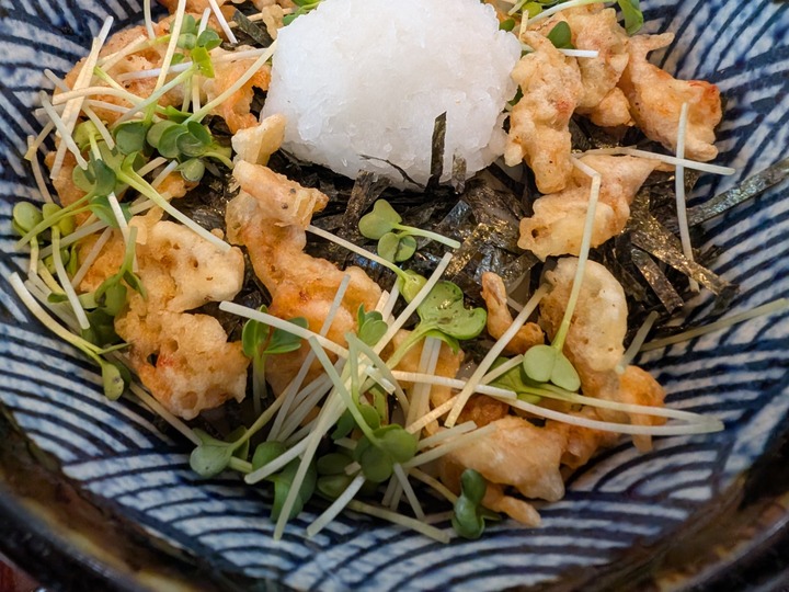 66nagaokaya041711532