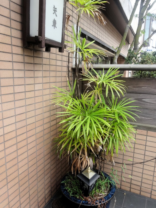 02yaguru06136