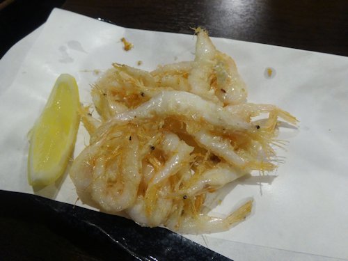 05shiroe02503