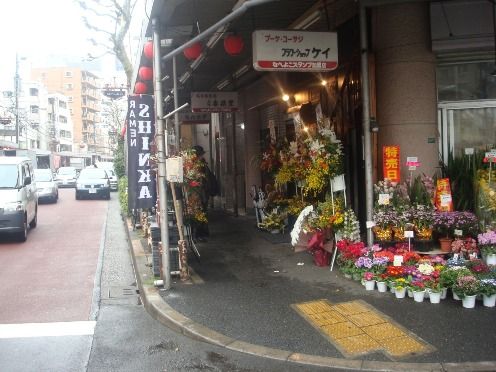 店舗外観-進化