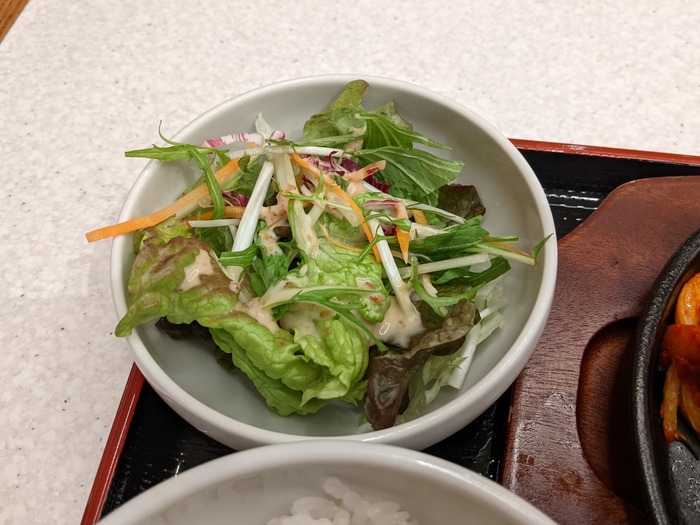 61fukujyu041257838