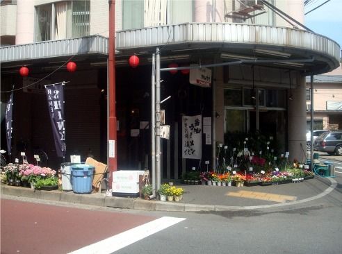 進化@新中野