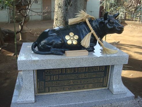 新井天神北野神社-撫で牛