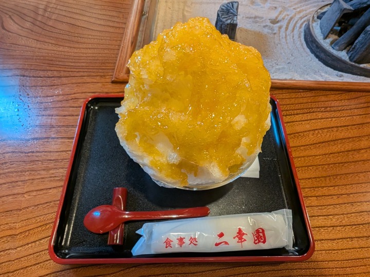 09niko052858807