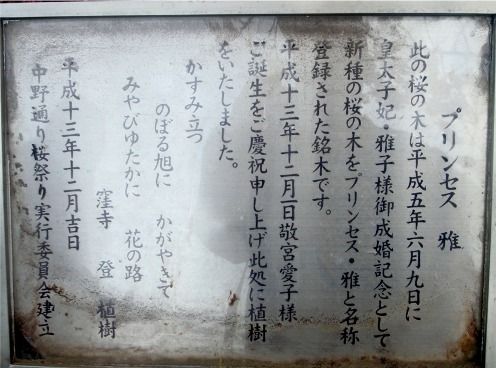 プリンセス雅-新井薬師梅照院