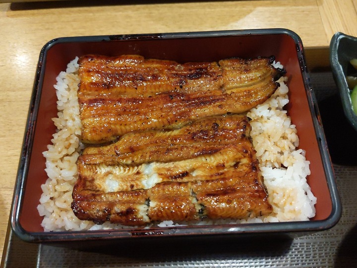 91unatetsu034118826
