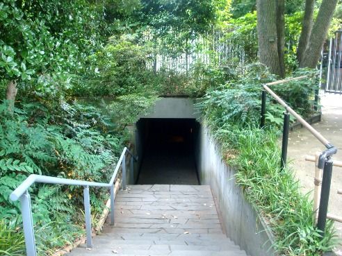 実篤公園@仙川