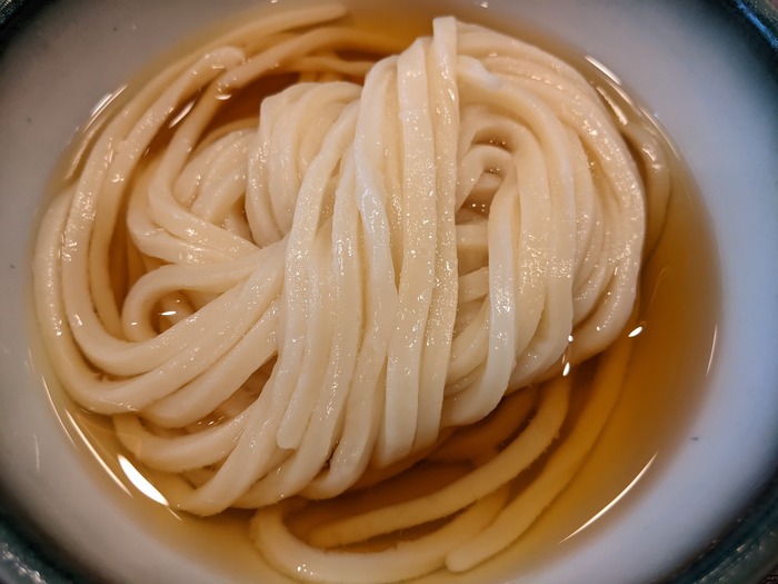 66shikishima041159019