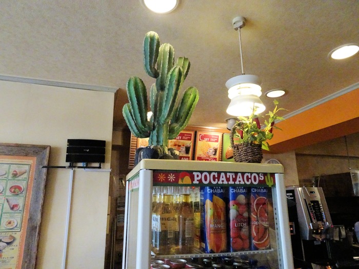 55pocata00411