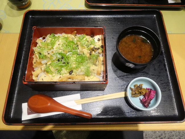 08teriobo03232