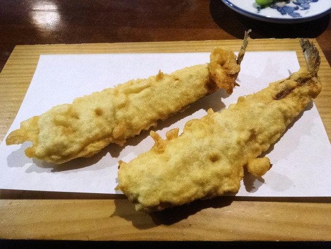08iwashi07799
