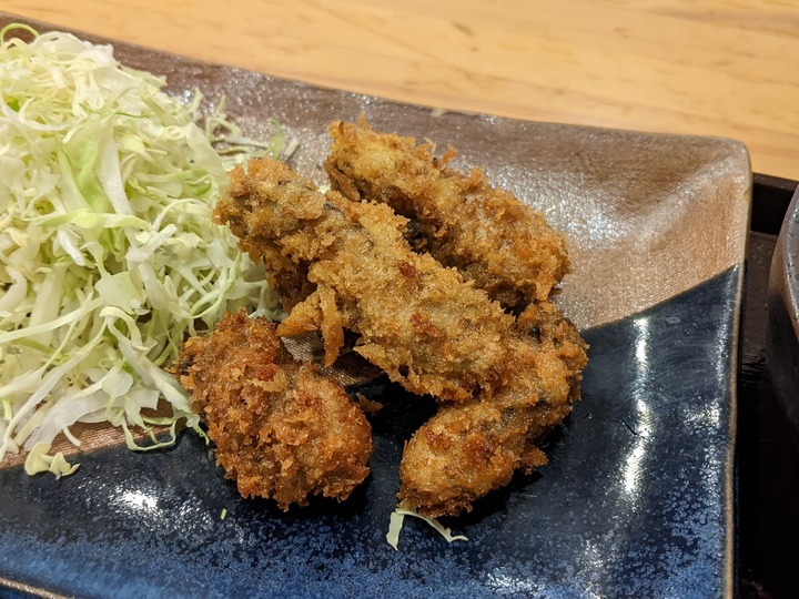 17sakanabi041025125
