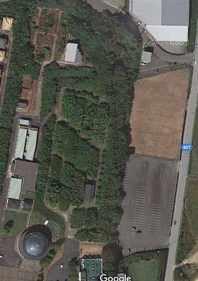 バンブー植物園