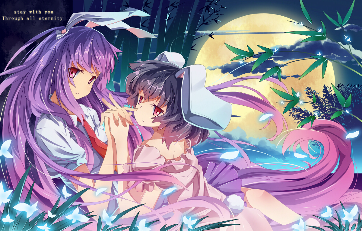 イラスト 柑橘庭園 イラスト 柑橘庭園