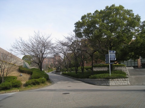 20160306 47 kandai25